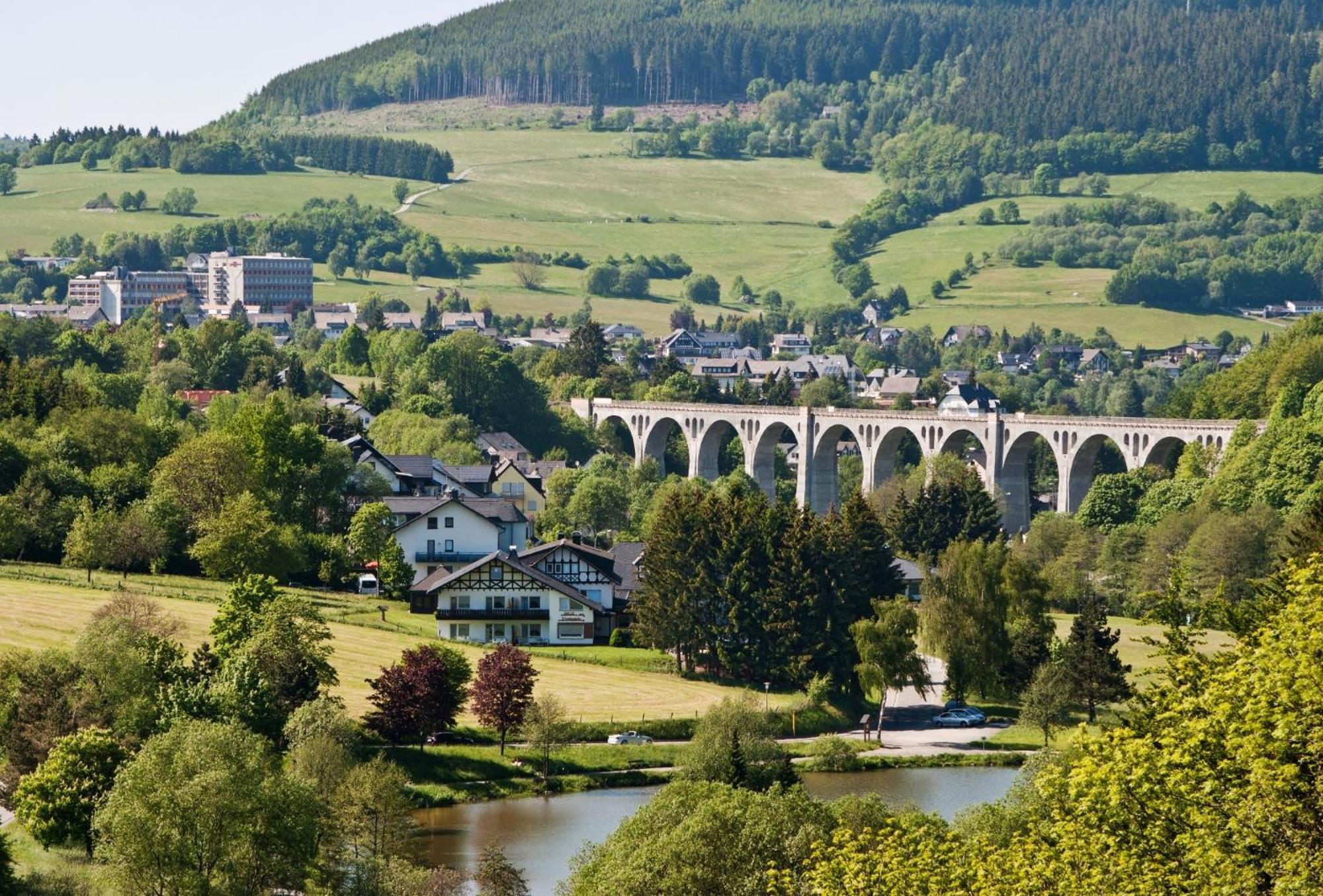 Komfort-Fewo Blickfang Willingen*** Willingen  Exteriér fotografie